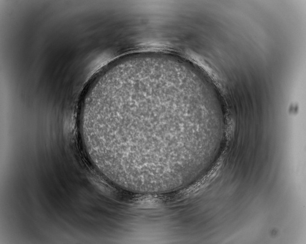 X0000103461259200810101142