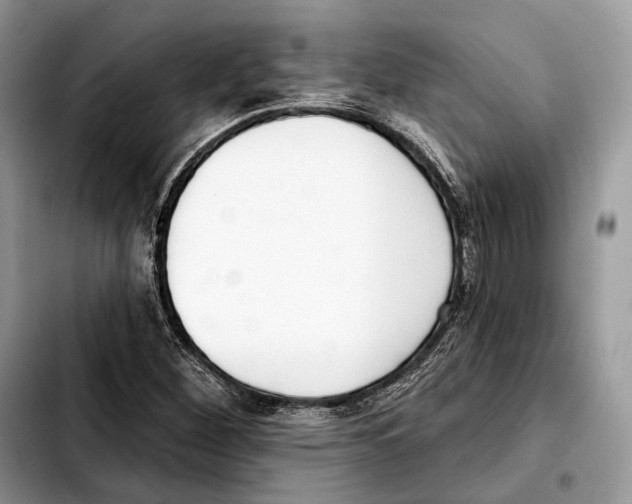 X0000103461260200810101142