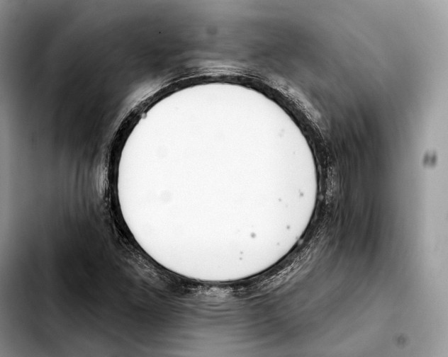 X0000103461261200810101142