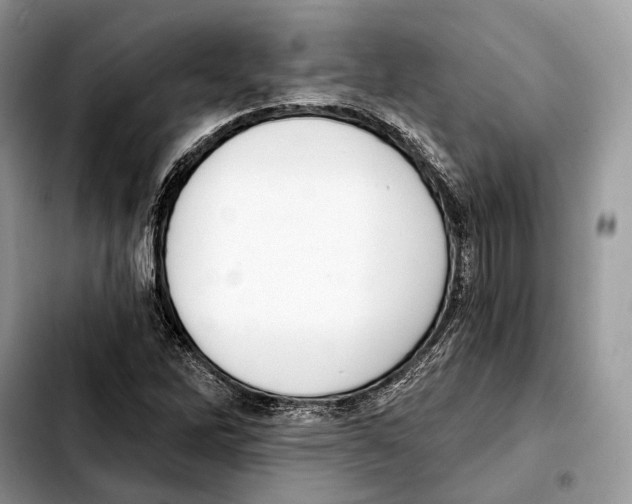X0000103461262200810101142