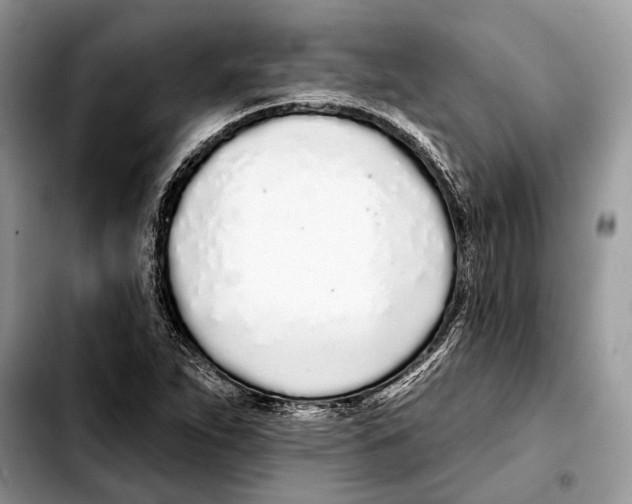 X0000103461263200810101142
