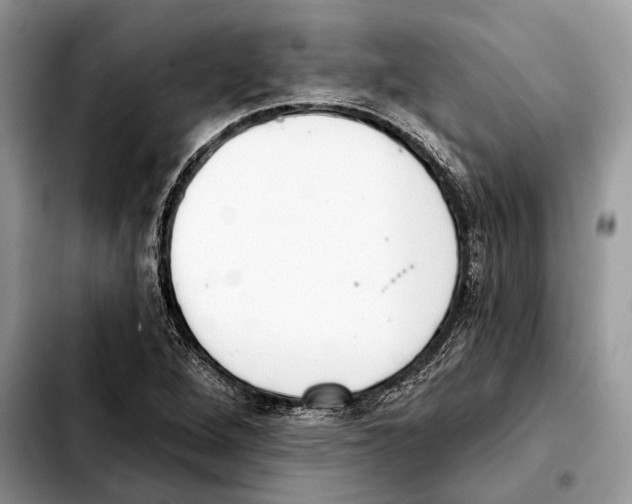 X0000103461264200810101142
