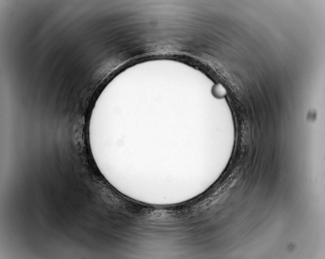X0000103461265200810101142