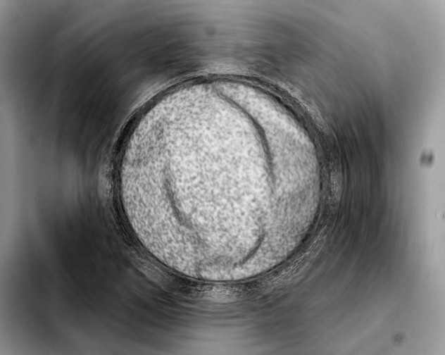 X0000103461266200810101142