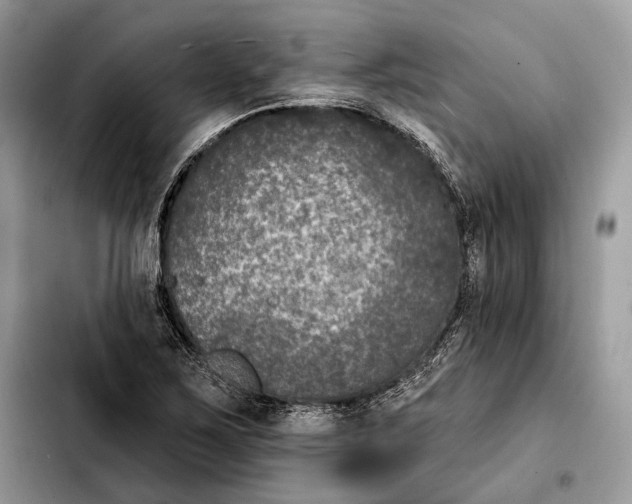 X0000103461267200810101142