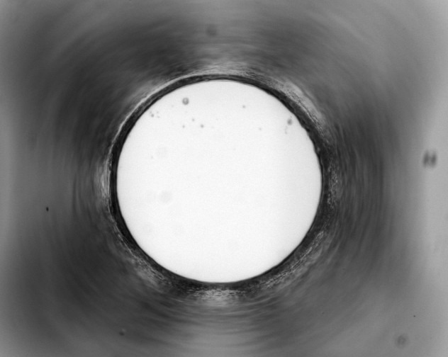 X0000103461268200810101142