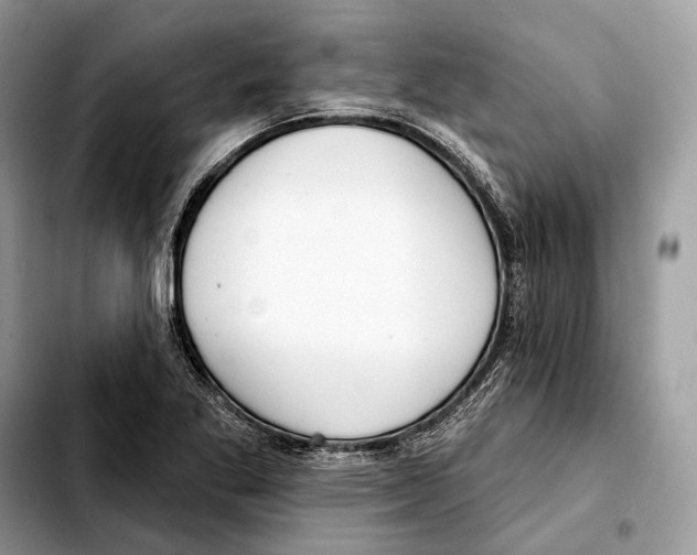 X0000103461269200810101142