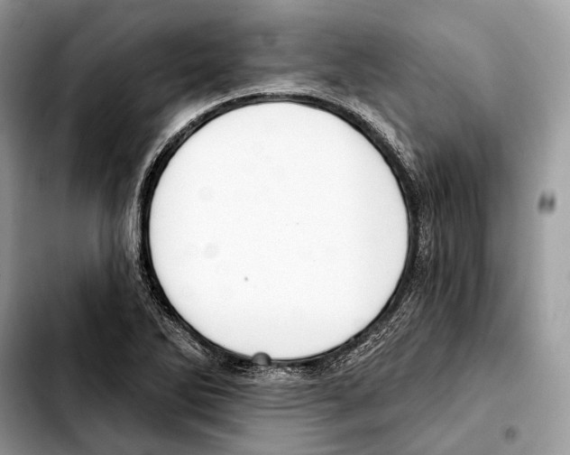 X0000103461270200810101142