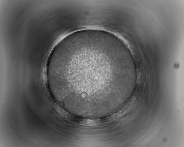 X0000103461271200810101142