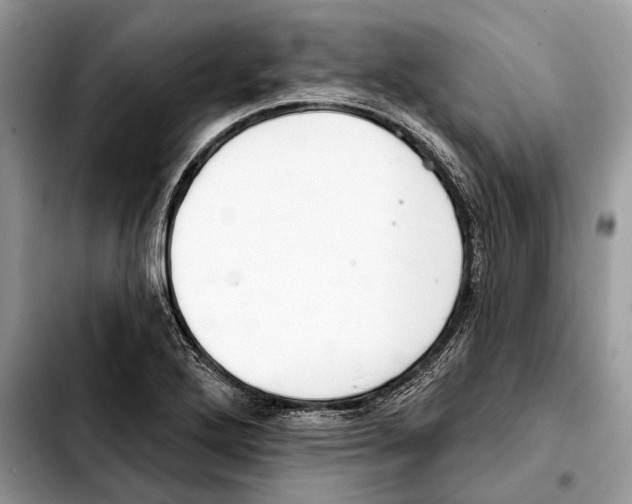 X0000103461272200810101142