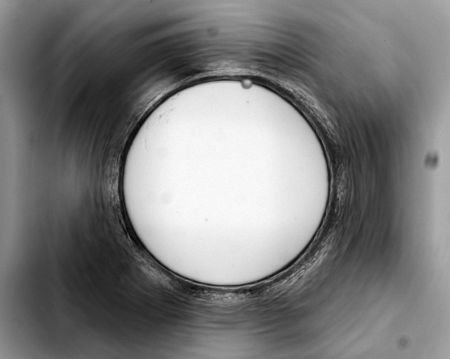 X0000103461273200810101142