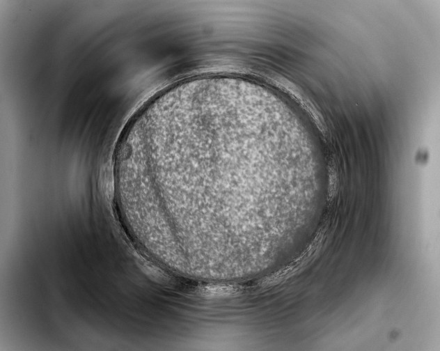 X0000103461274200810101142