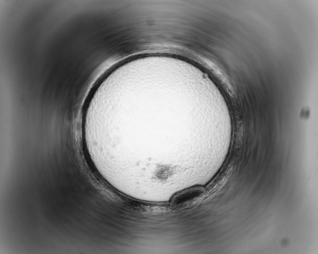 X0000103461275200810101142