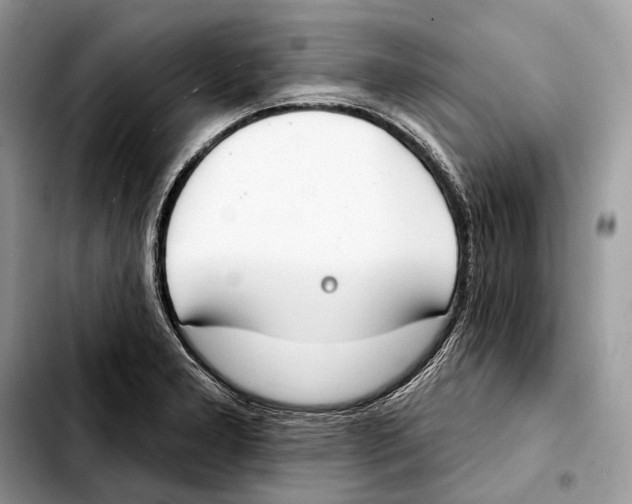 X0000103461277200810101142