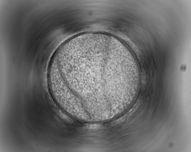 X0000103461278200810101142