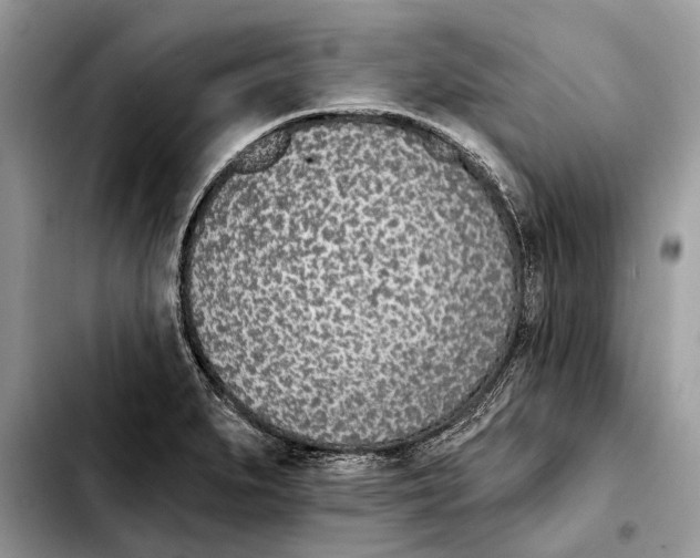X0000103461279200810101142