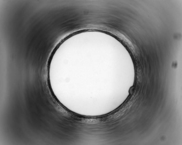 X0000103461280200810101142