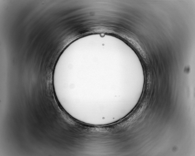 X0000103461281200810101142