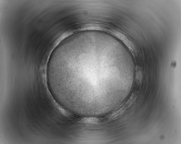 X0000103461282200810101142