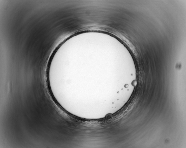 X0000103461285200810101142