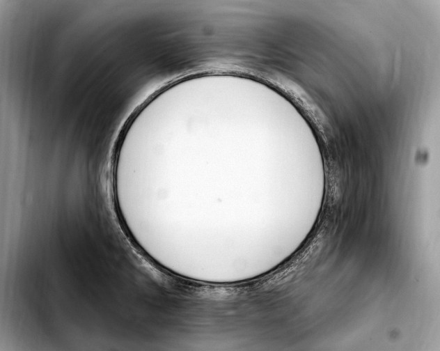 X0000103461286200810101142