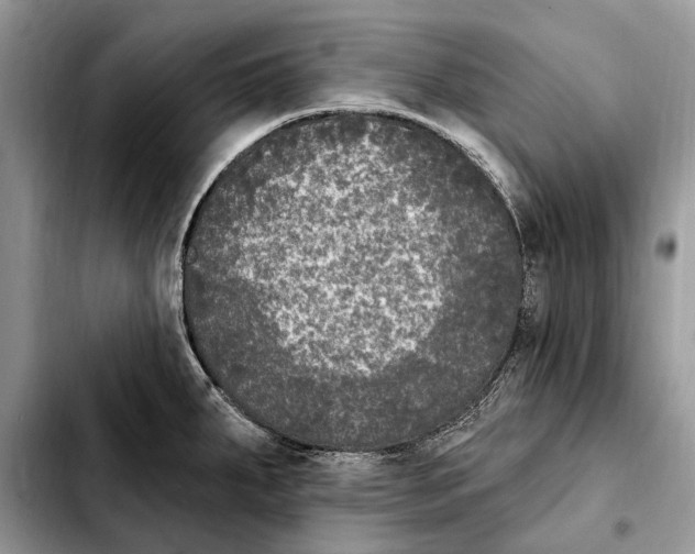 X0000103461287200810101142
