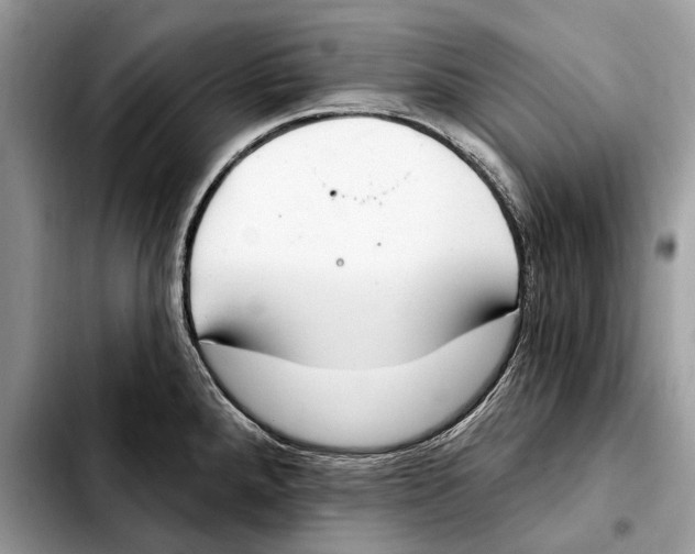 X0000103461288200810101142