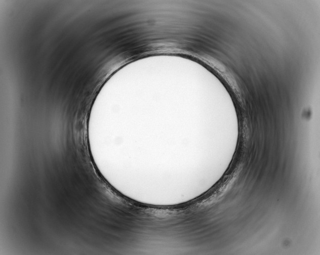 X0000103461289200810101142