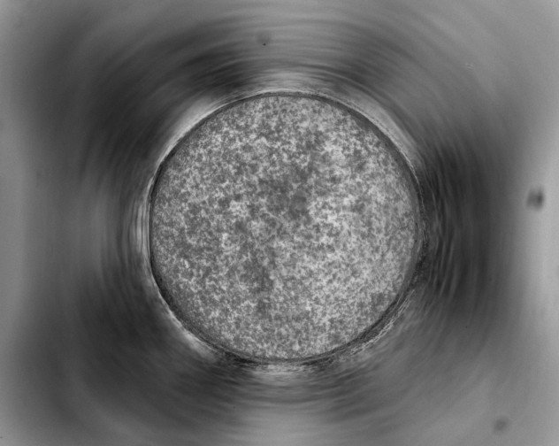 X0000103461290200810101142