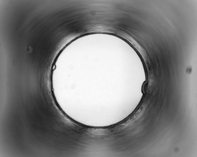 X0000103461293200810101141