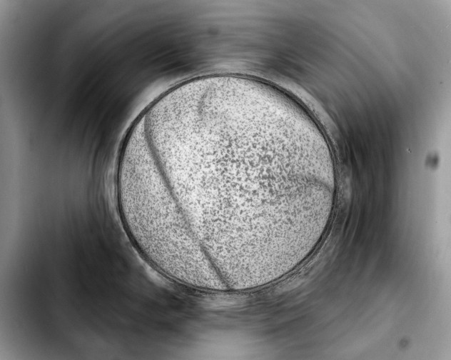 X0000103461294200810101141