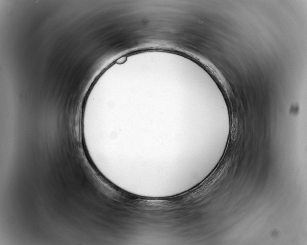X0000103461295200810101141