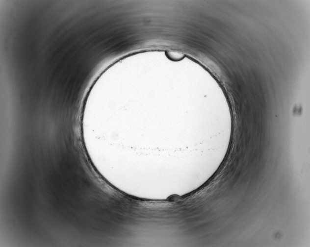X0000103461296200810101141