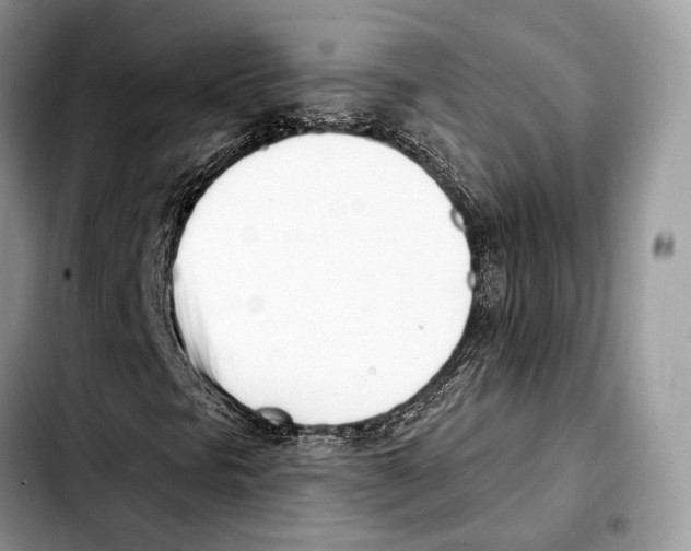 X0000103461297200810101141