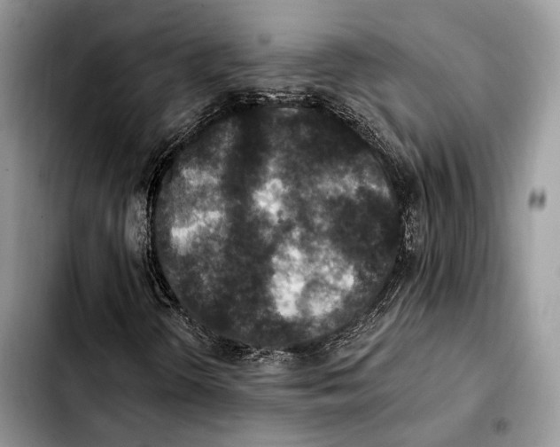 X0000103461298200810101141