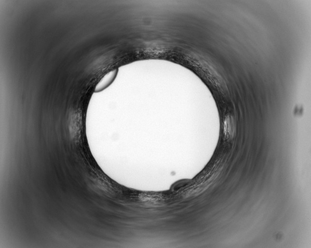 X0000103461299200810101141