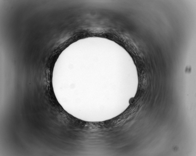 X0000103461301200810101141