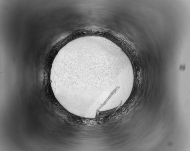 X0000103461302200810101141