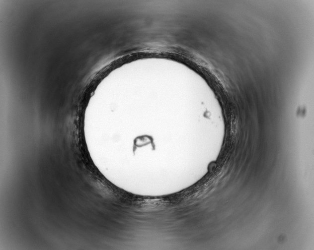 X0000103461304200810101141