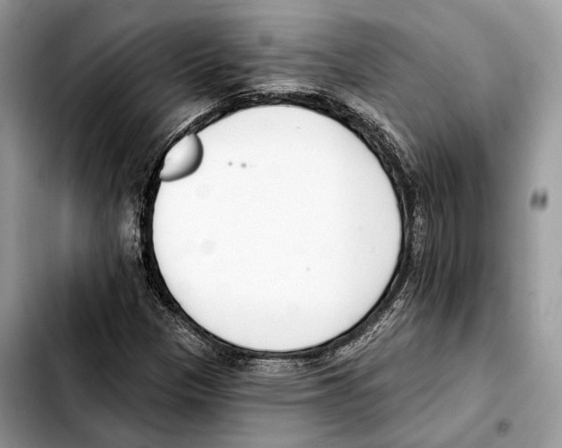 X0000103461305200810101141