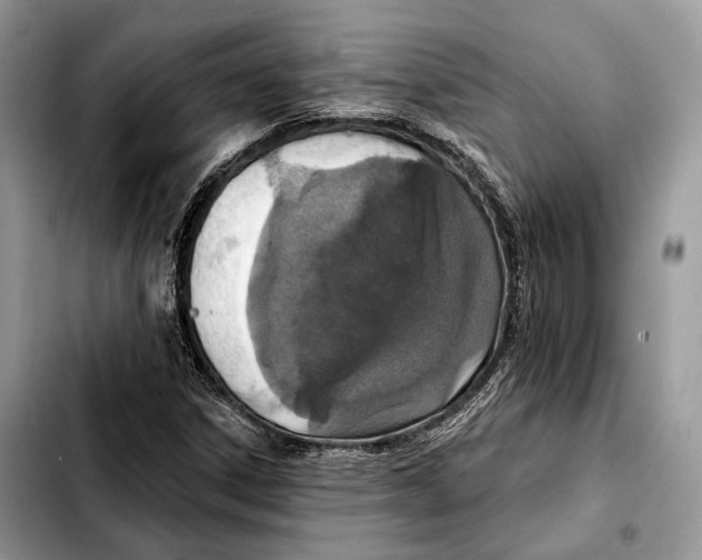X0000103461306200810101141