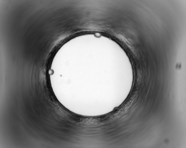 X0000103461307200810101141