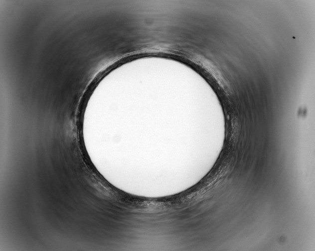 X0000103461308200810101141