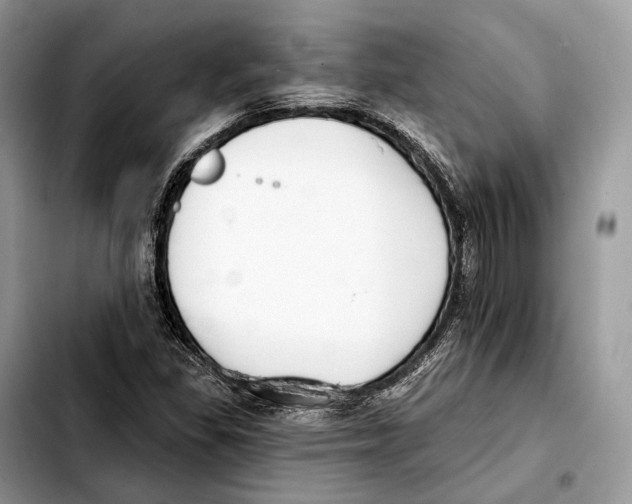X0000103461309200810101141