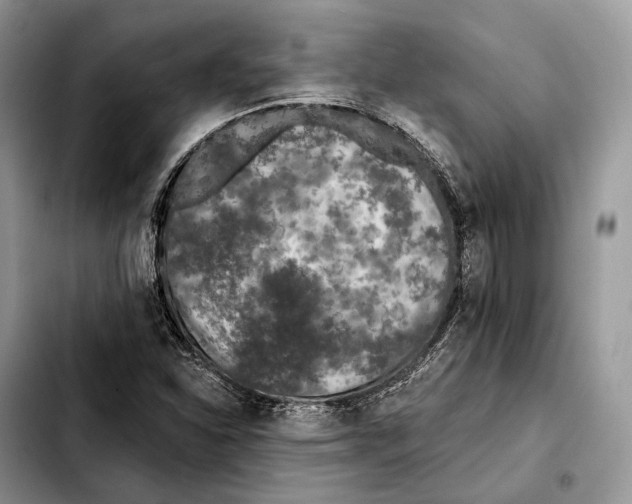 X0000103461310200810101141