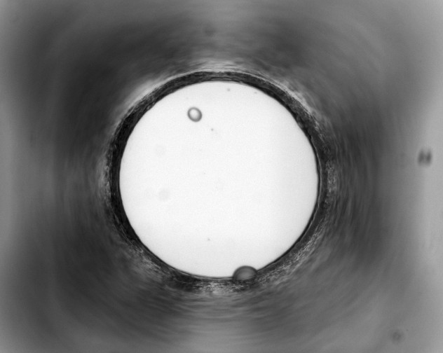 X0000103461311200810101141