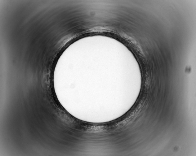 X0000103461313200810101141