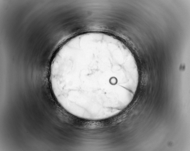 X0000103461314200810101141