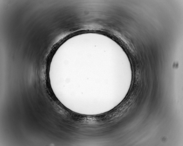 X0000103461315200810101141