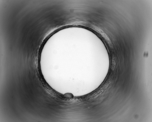 X0000103461316200810101141
